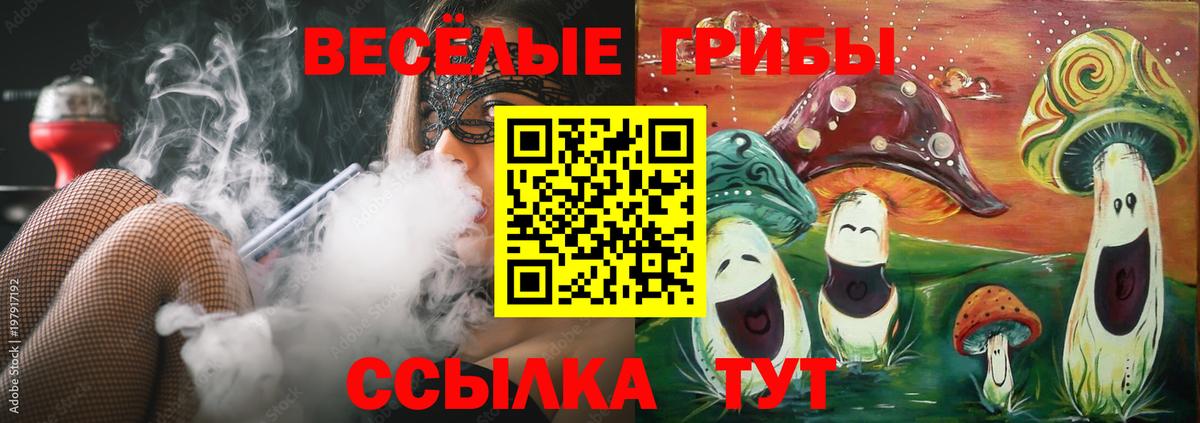 Псилоцибиновые грибы Magic Shrooms Коммунар