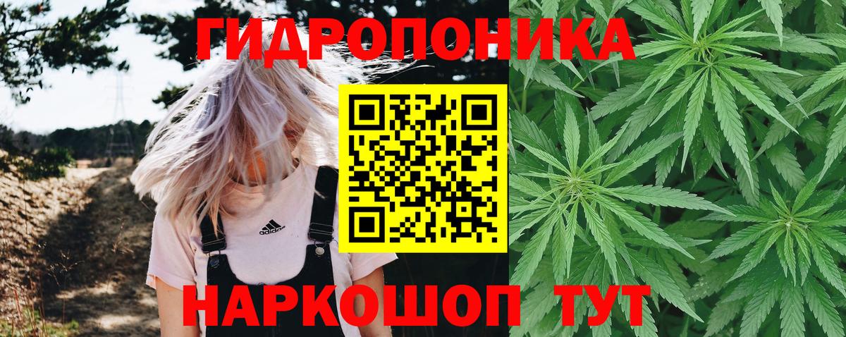 Канабис OG Kush  МАРИХУАНА тримм  Бошки марихуана LSD WEED  Коммунар  Бошки Шишки тримм  Вход с VPN 